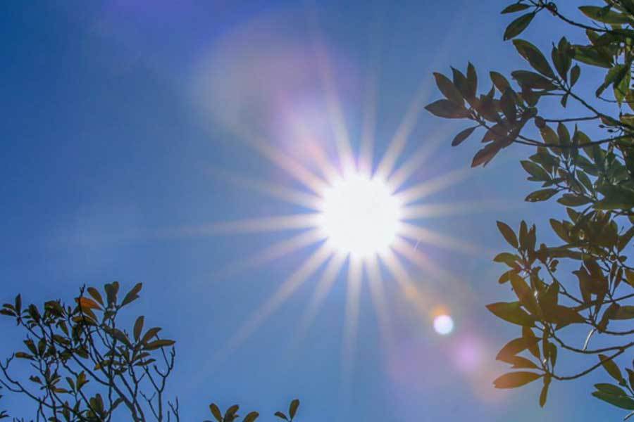 全球银幕被, 率领团队在